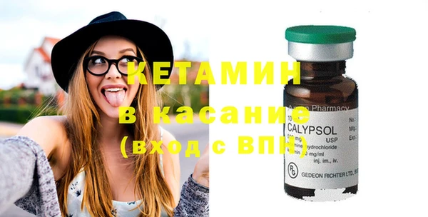 индика Нягань