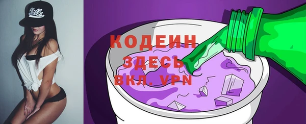 гашик Осташков