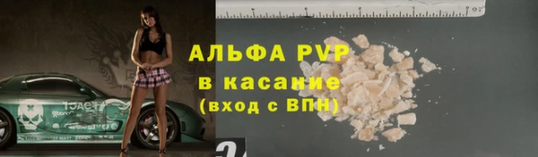 spice Осинники