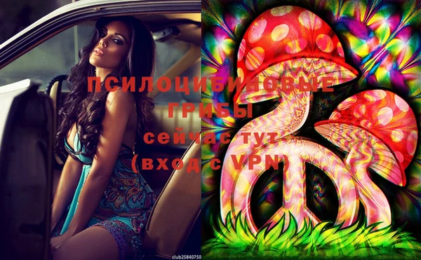 индика Нягань