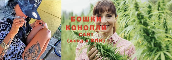 spice Осинники