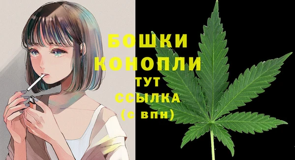 гашик Осташков