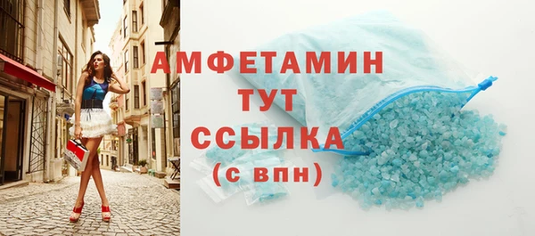 индика Нягань