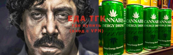 индика Нягань