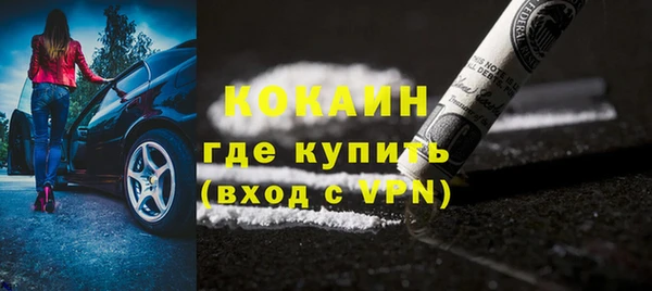 индика Нягань