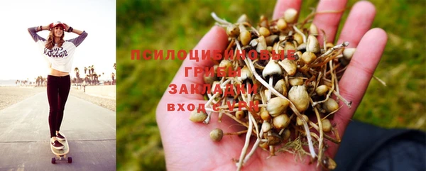 ГАЛЛЮЦИНОГЕННЫЕ ГРИБЫ Няндома