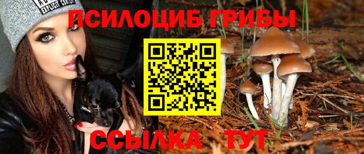 Галлюциногенные грибы GOLDEN TEACHER Моздок