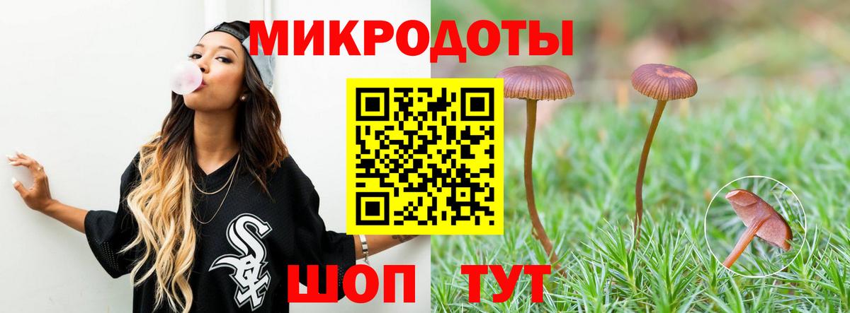 Псилоцибиновые грибы GOLDEN TEACHER Моздок