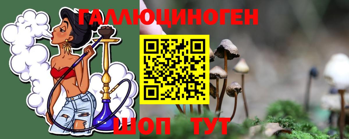 Галлюциногенные грибы мицелий  Вход с VPN  Моздок 
