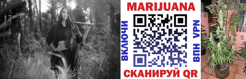 Каннабис индика Моздок